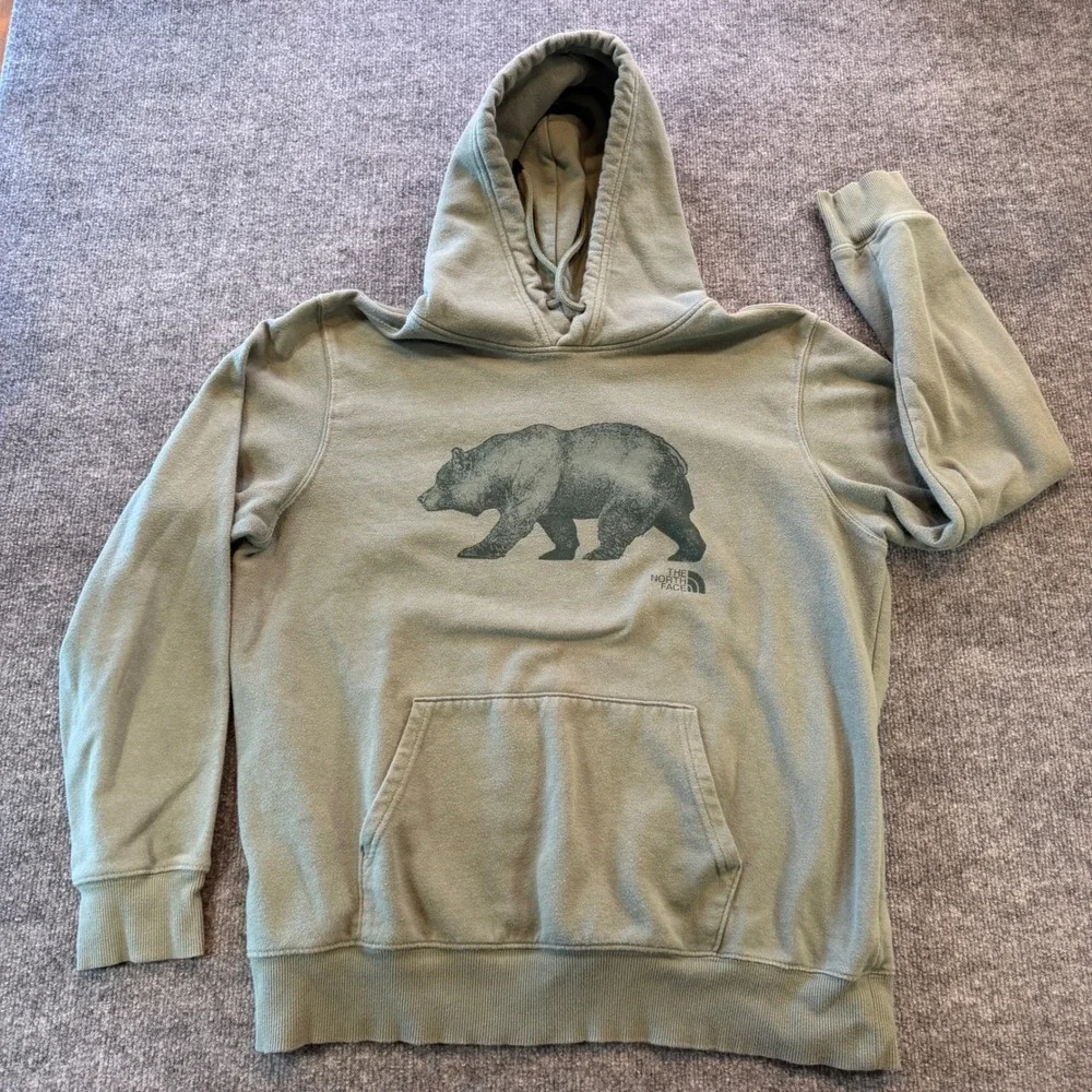 The North Face Mens Bear Graphic Pullover Hoodie Sage Green Large